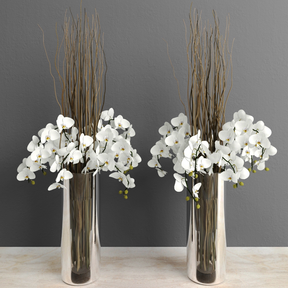 Plants / Vases / Decorative set 1
