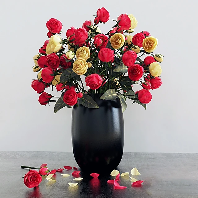 Plants / Vases 1