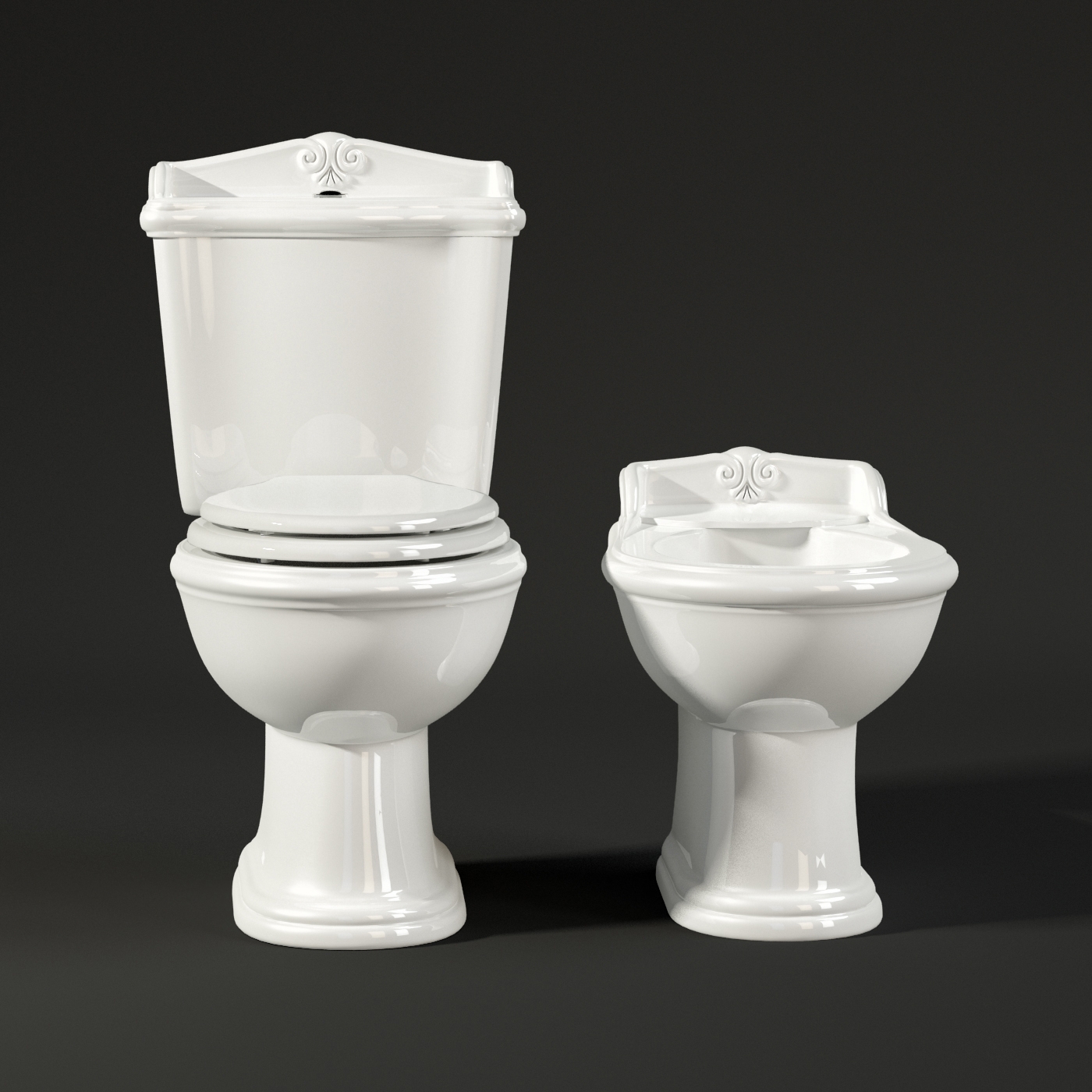 Toilet and Bidet 1