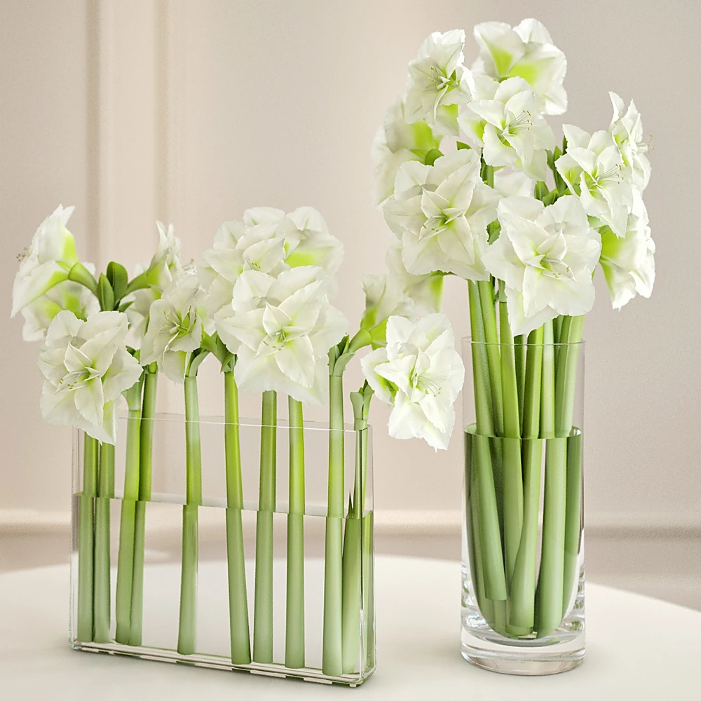 Bouquet of Flowers with White Amaryllis in Glass Vases