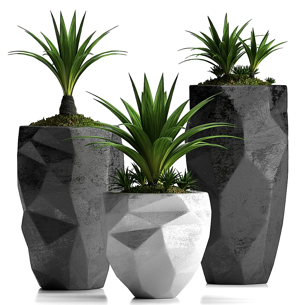 Plantes 1