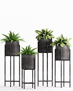 3D Models » Decoration » Plants » Download for Your Design Projects ...