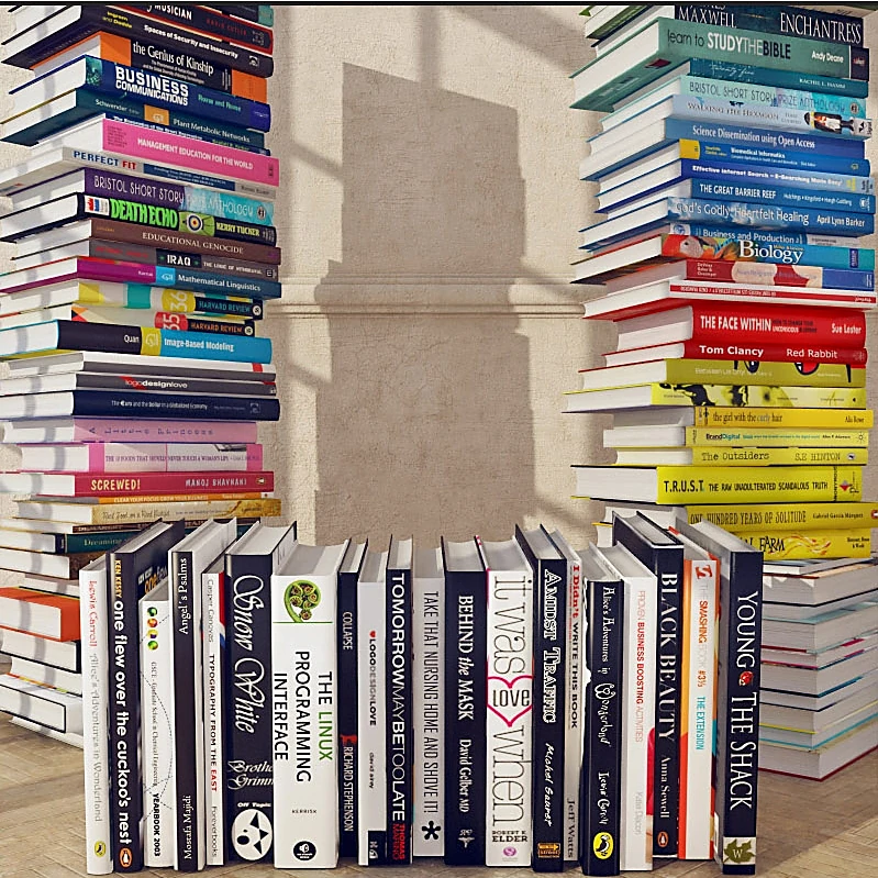 Eclectic Collection of Books Stacks (2)