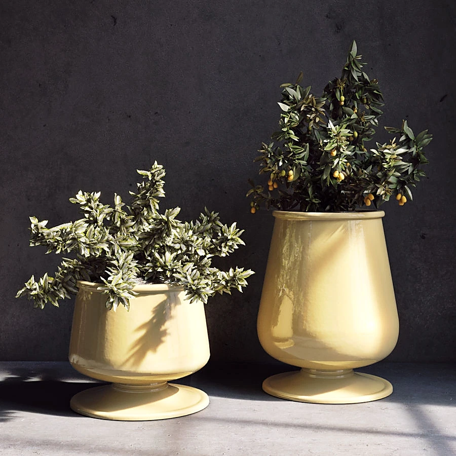 Vases with Plants in Glossy Ceramic