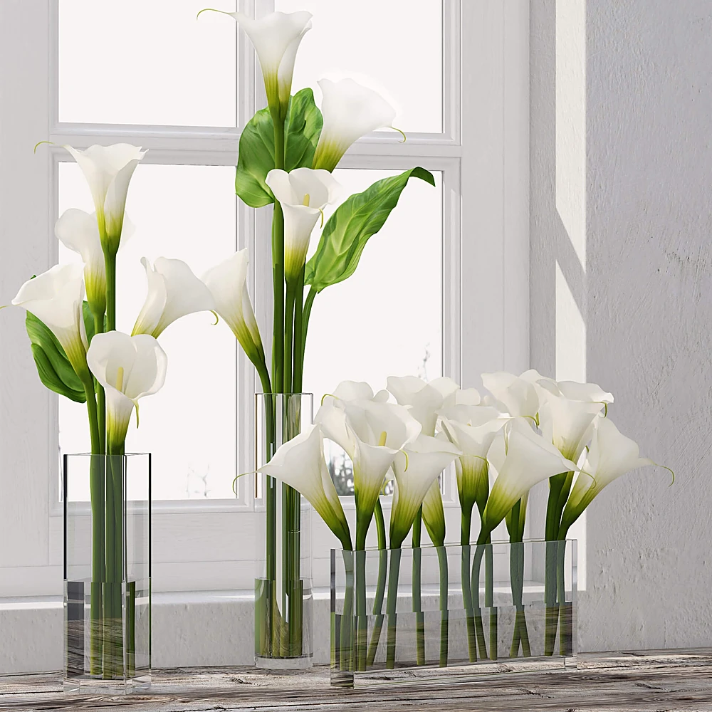 Modern Calla Lily Bouquet in Glass Vases