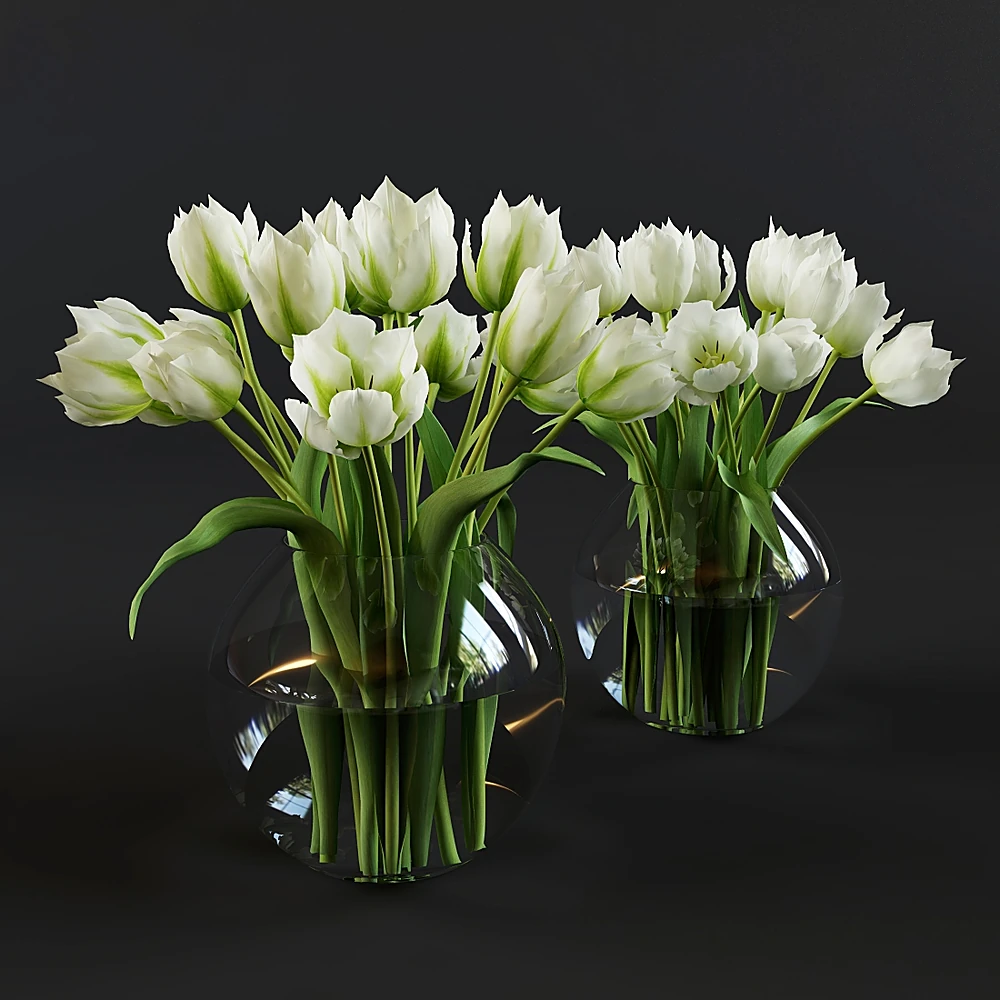 White and Green Tulips in a Glass Vase