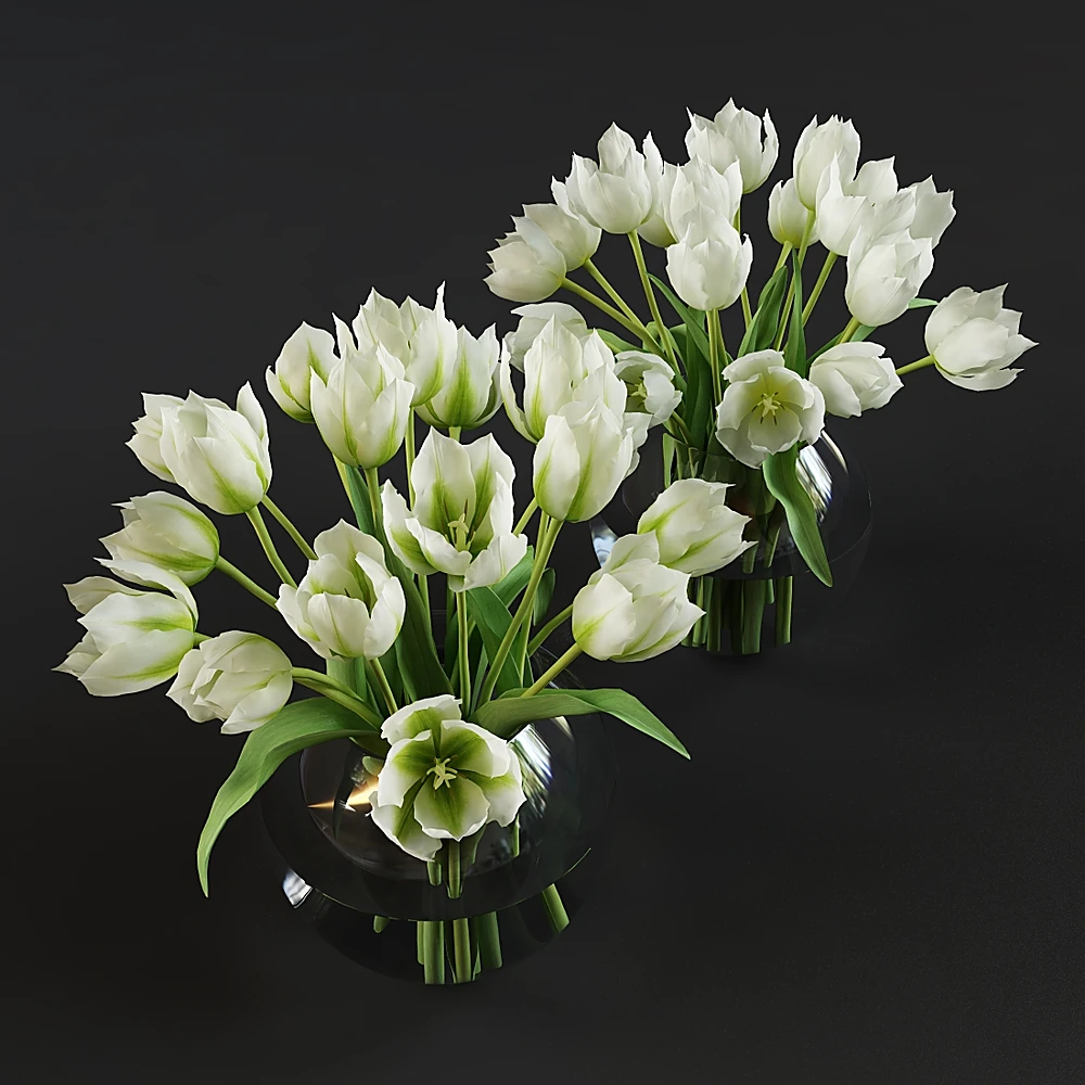 White and Green Tulips in a Glass Vase (2)