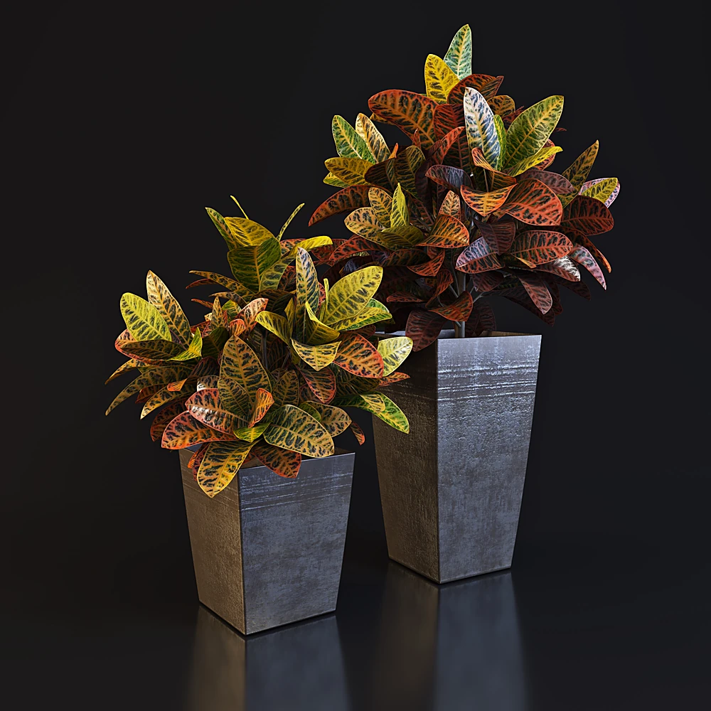 Potted Plant Set with Vibrant Leaves and Dark Vases