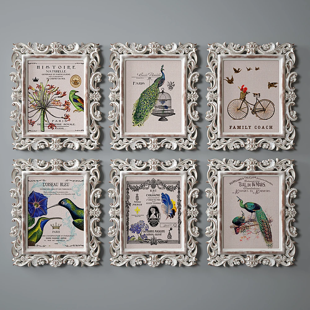 Collection of Pictures with Ornate Frames and Vintage Illustrations