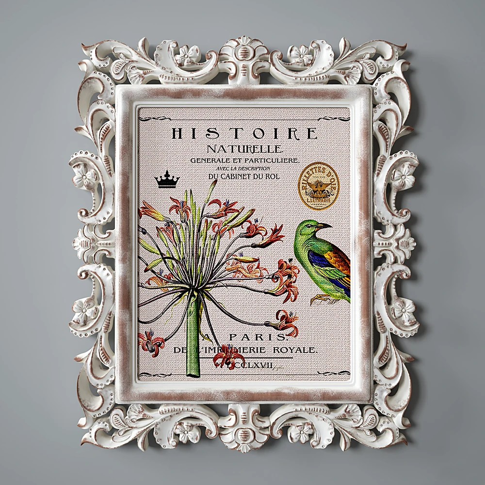 Collection of Pictures with Ornate Frames and Vintage Illustrations (2)