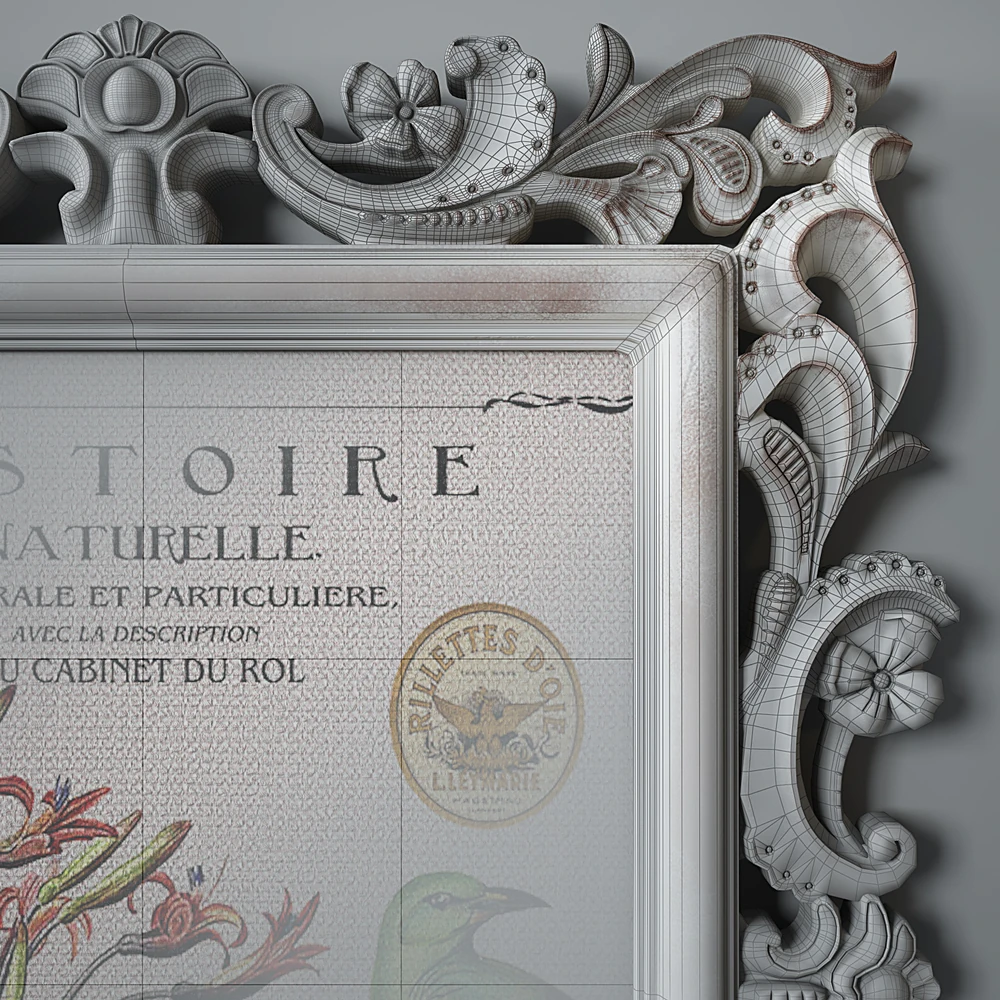 Collection of Pictures with Ornate Frames and Vintage Illustrations (3)