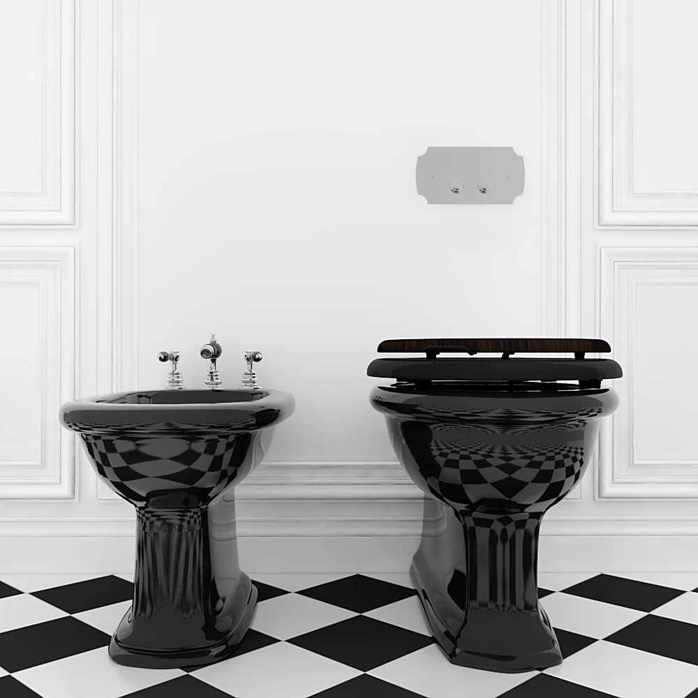 Toilet and Bidet Set with Classic Black Ceramic