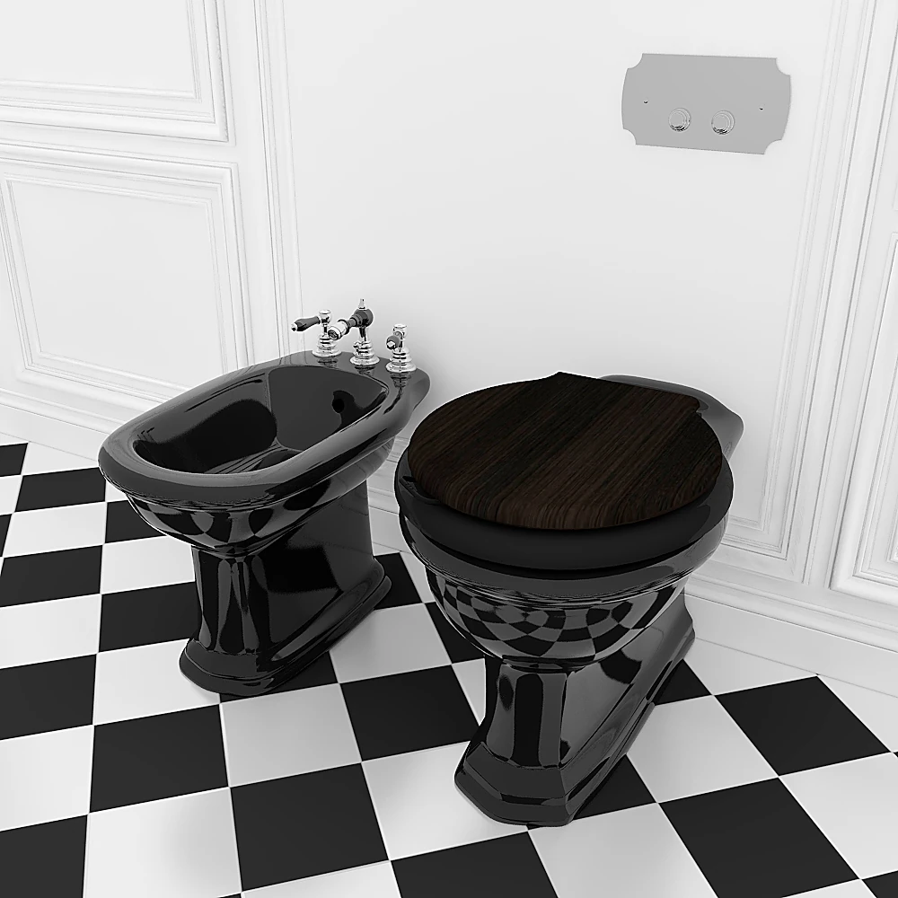 Toilet and Bidet Set with Classic Black Ceramic (2)