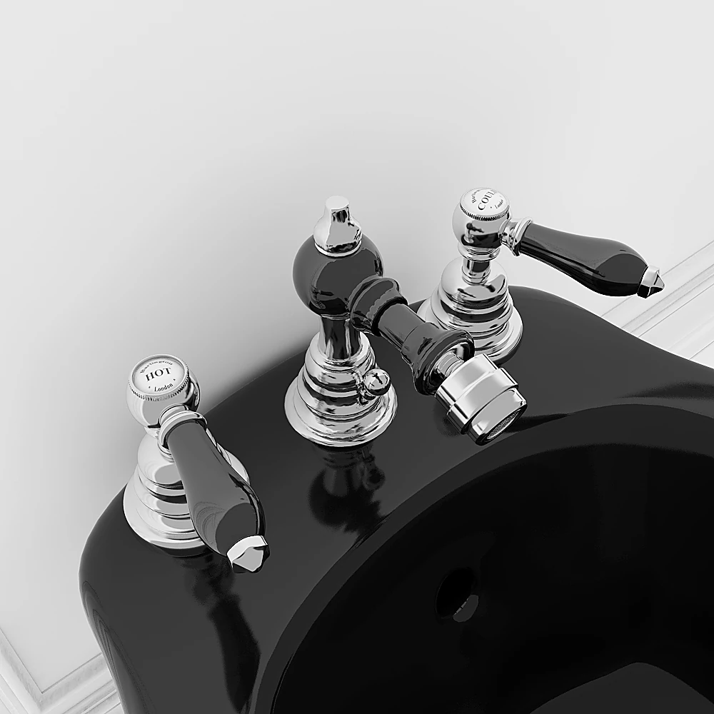 Toilet and Bidet Set with Classic Black Ceramic (3)