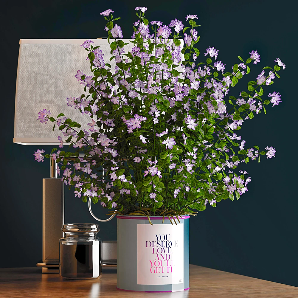 Potted Plant with Small Purple Flowers