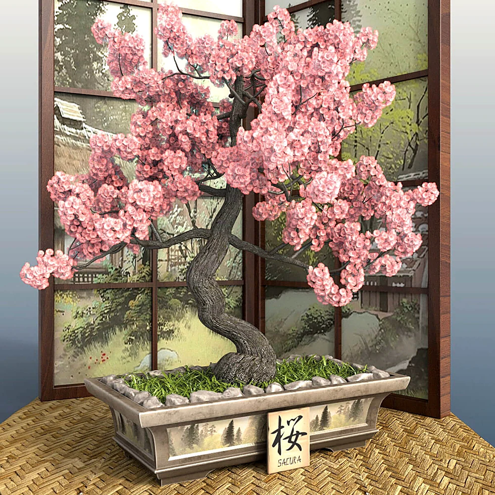 Sakura Bonsai Tree with Pink Blossoms