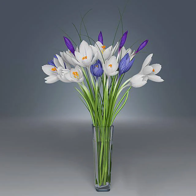 Bouquet of Crocus Flowers in a Glass Vase