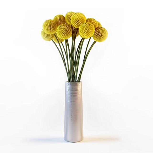 Plantas 1