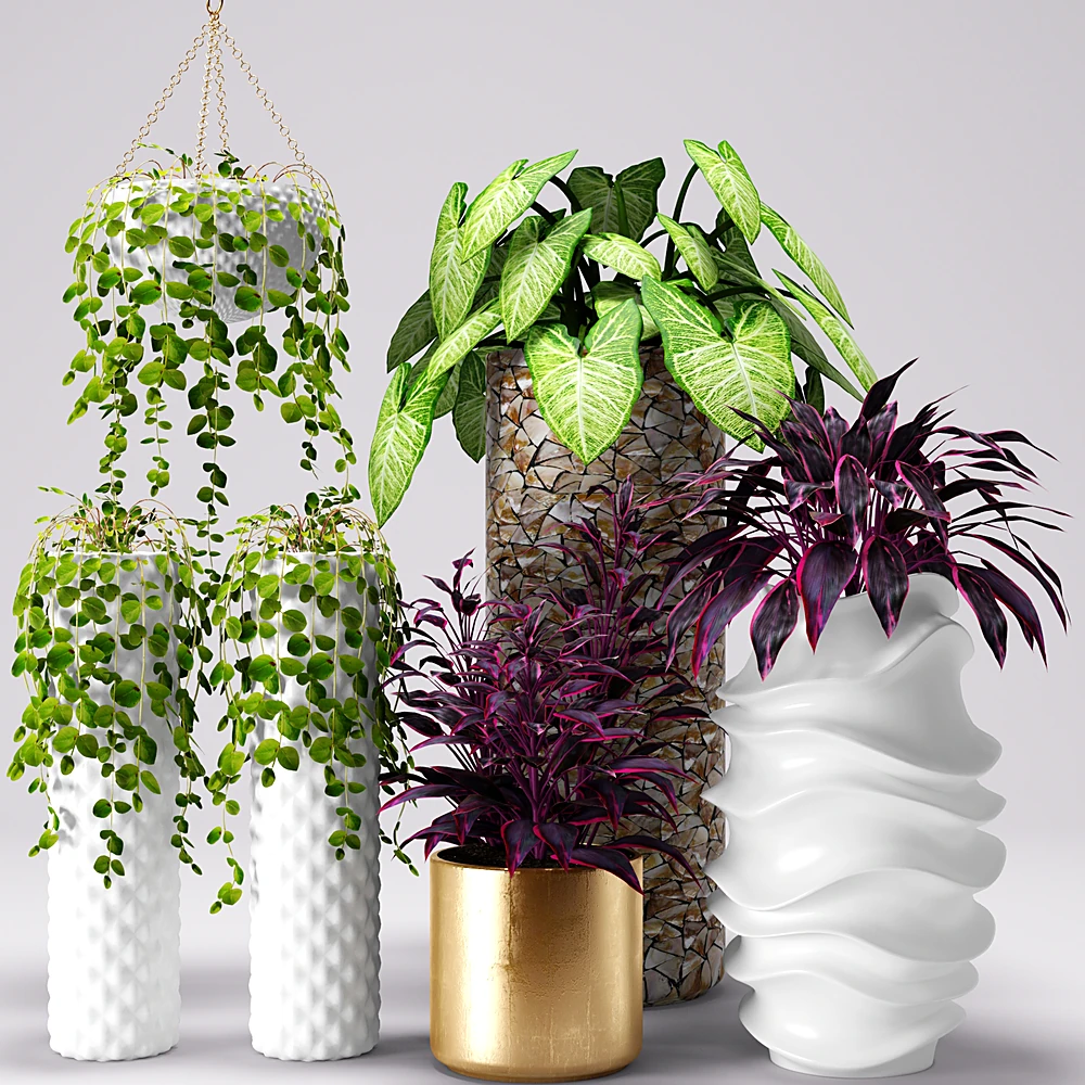 Set of Decorative Plants with Varied Pots and Foliage