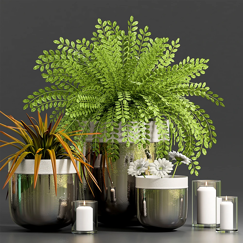 Plants 1