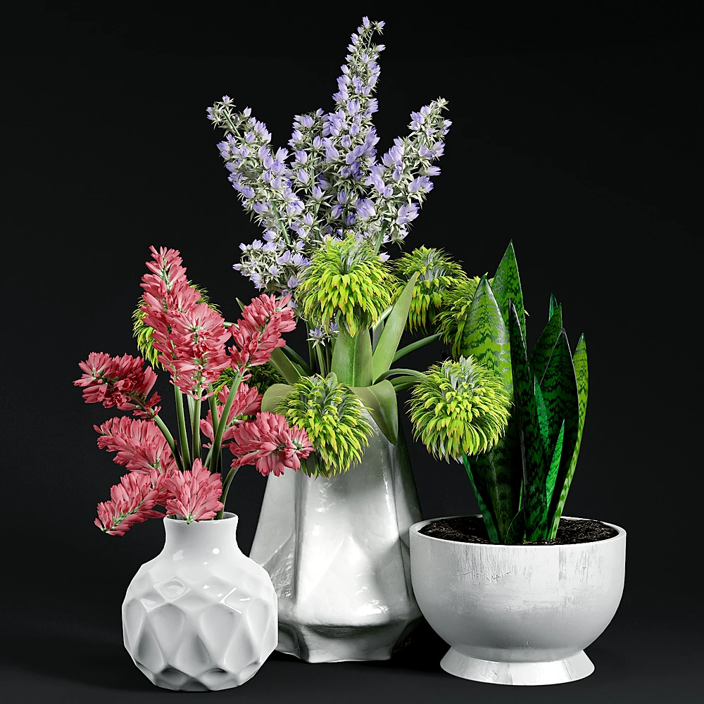 Set of Decorative Plants with Modern Ceramic Vases