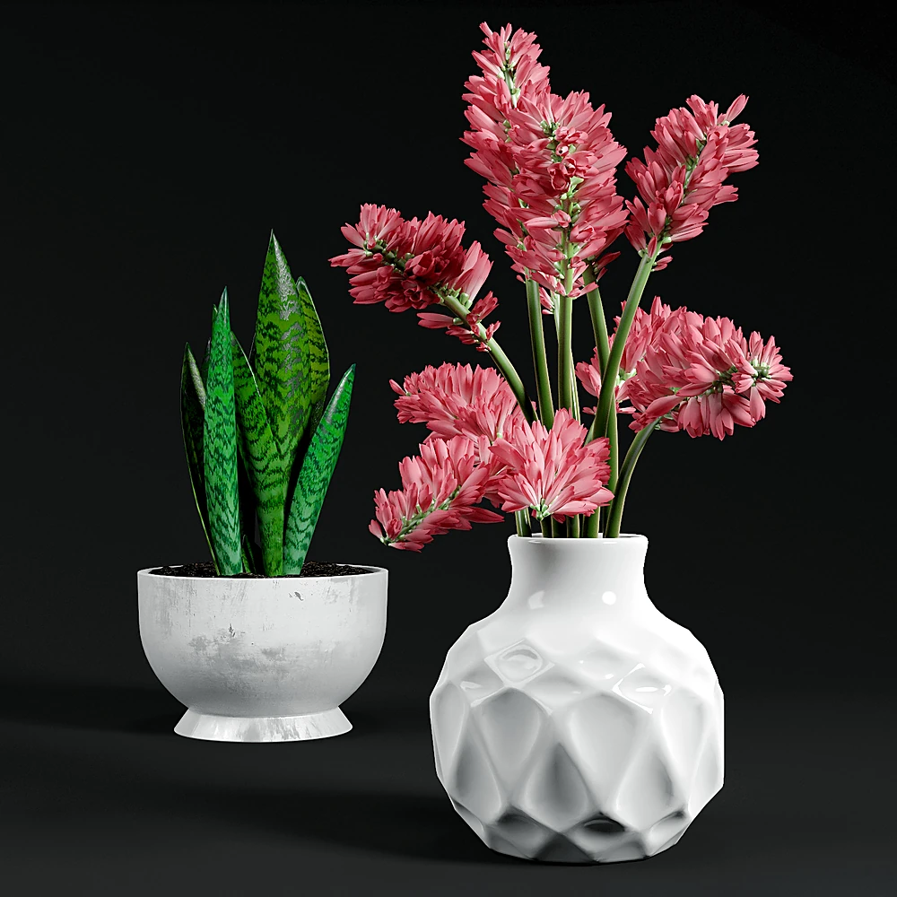 Set of Decorative Plants with Modern Ceramic Vases (3)