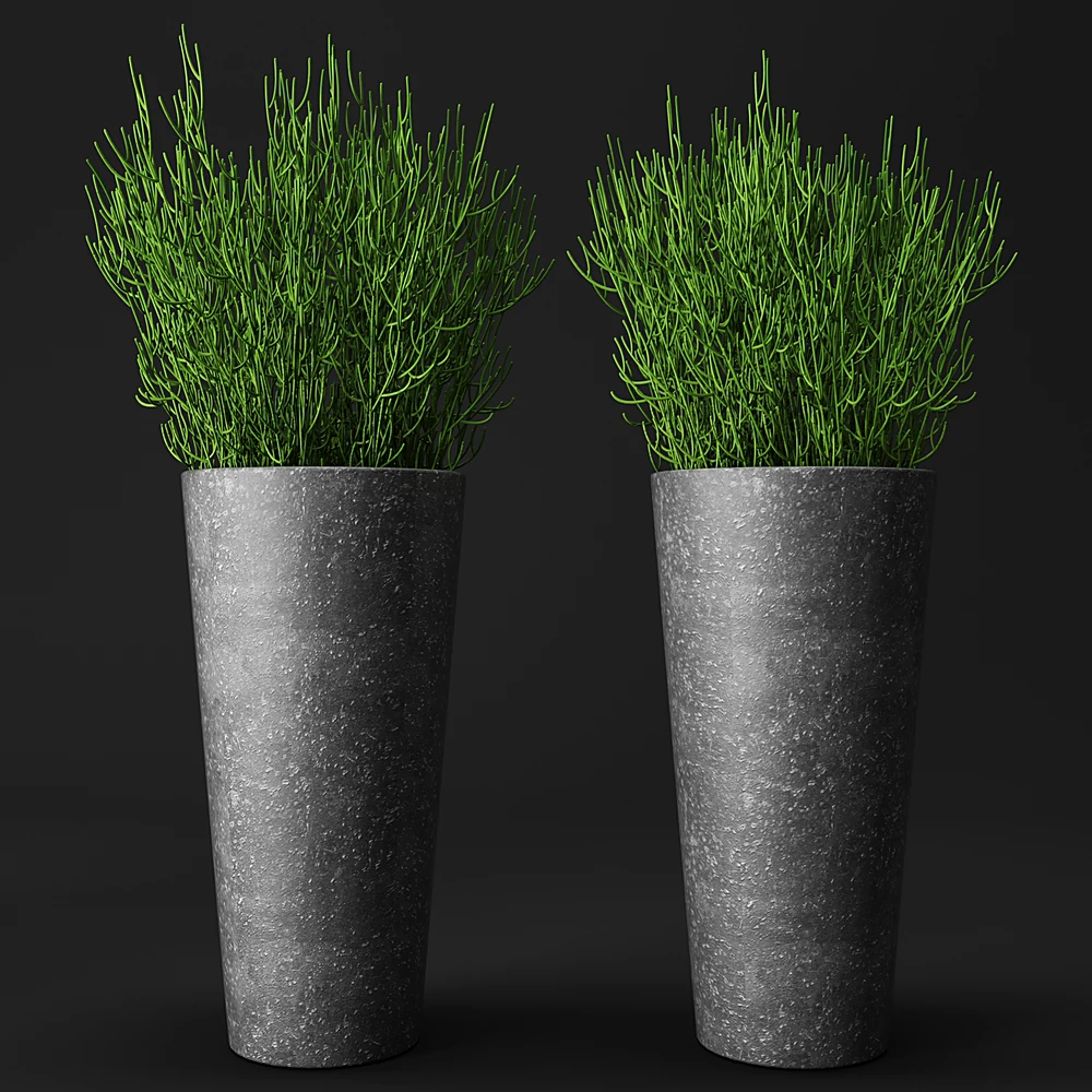 Set of Potted Plants with Concrete Planters (2)