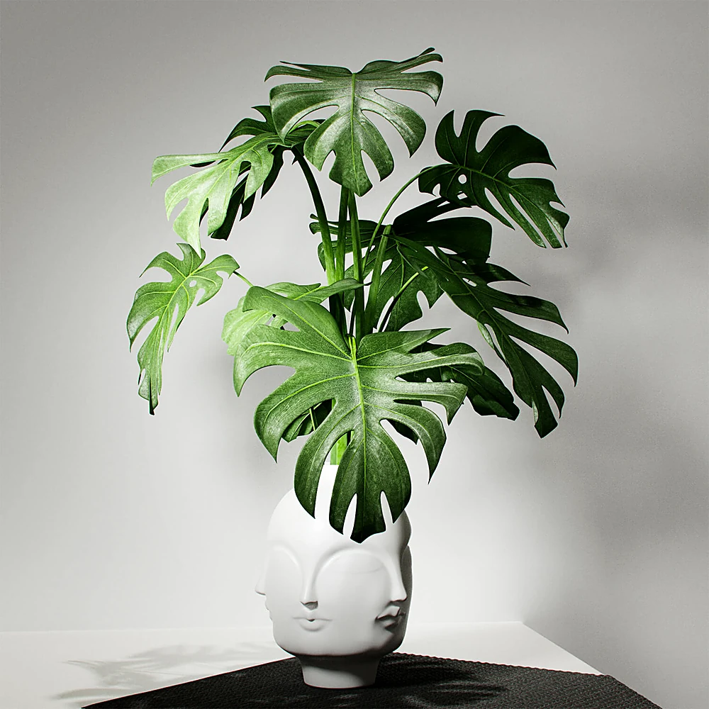 Decorative Object Vase of plants by Jonathan Adler