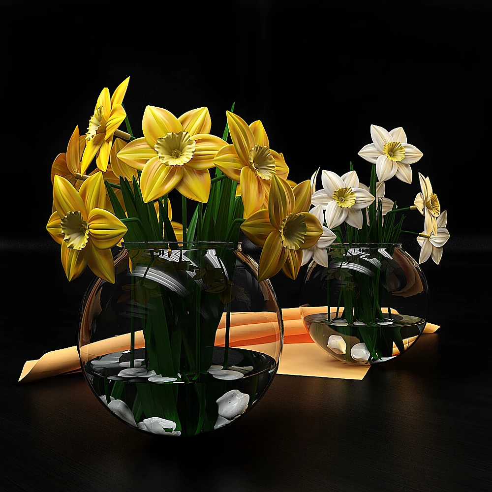 Narcissus Flower Arrangement in Glass Vases