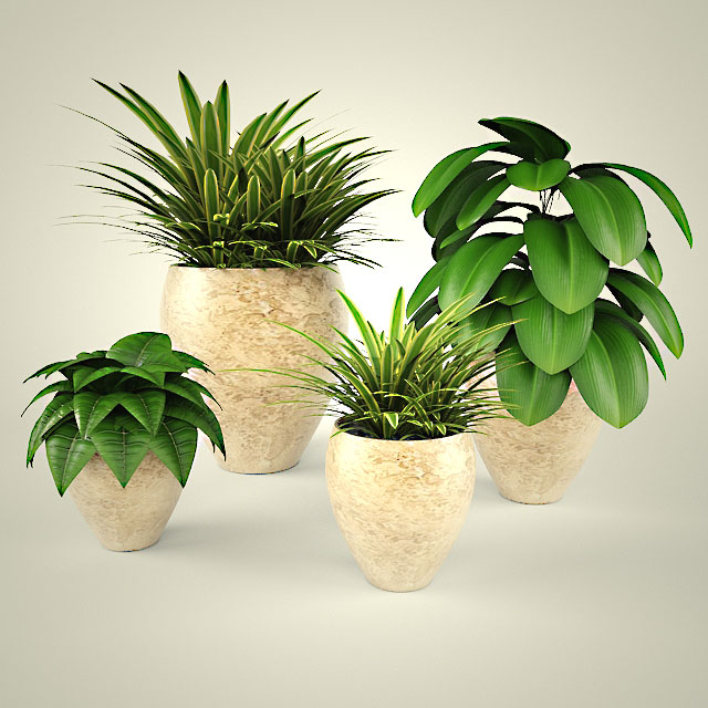 Plantas 1