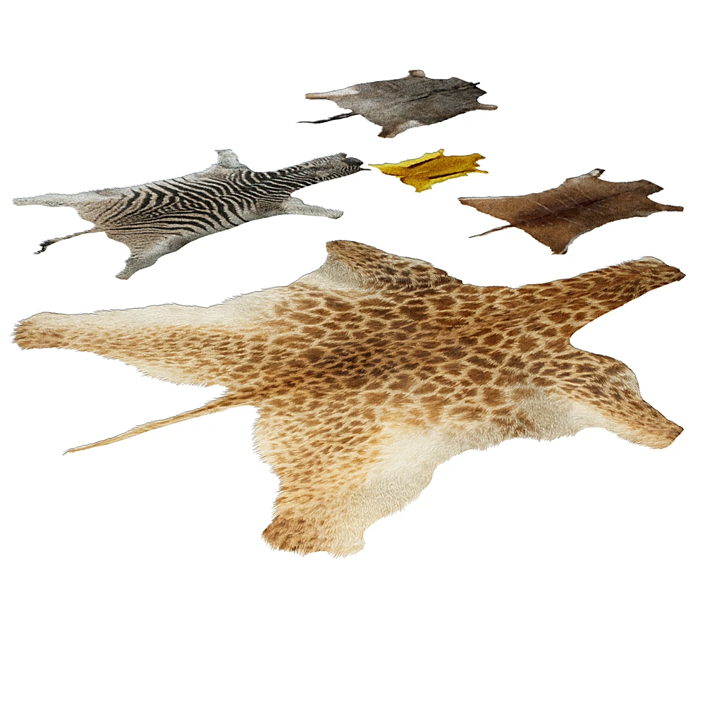 Animal Skin Carpets with Varied Textures (3)