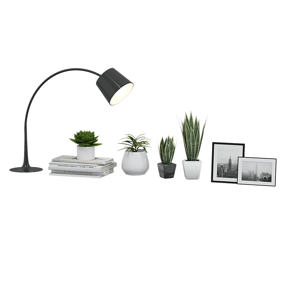 Decorative set with Modern Lamp and Plants