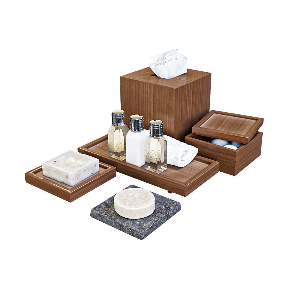 Լոգասենյակի պարագաներ 1