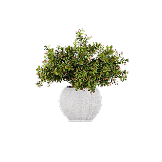 Potted Artificial Plant with Ceramic Vase