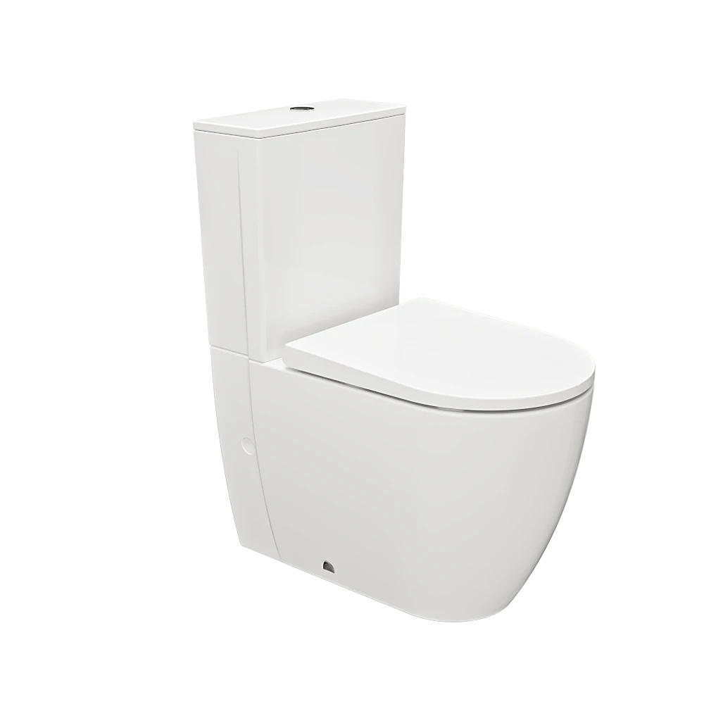 Toilet and Bidet 1
