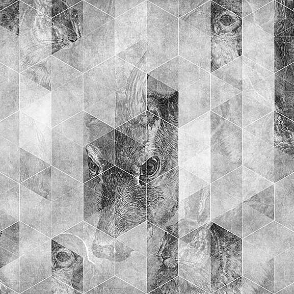 Պատի ծածկույթներ 1