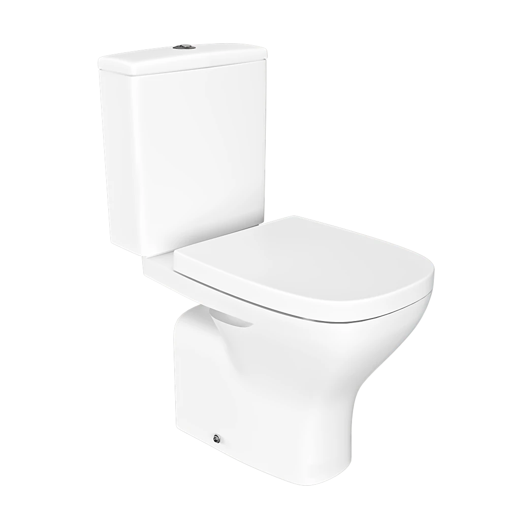Toilet and Bidet 1