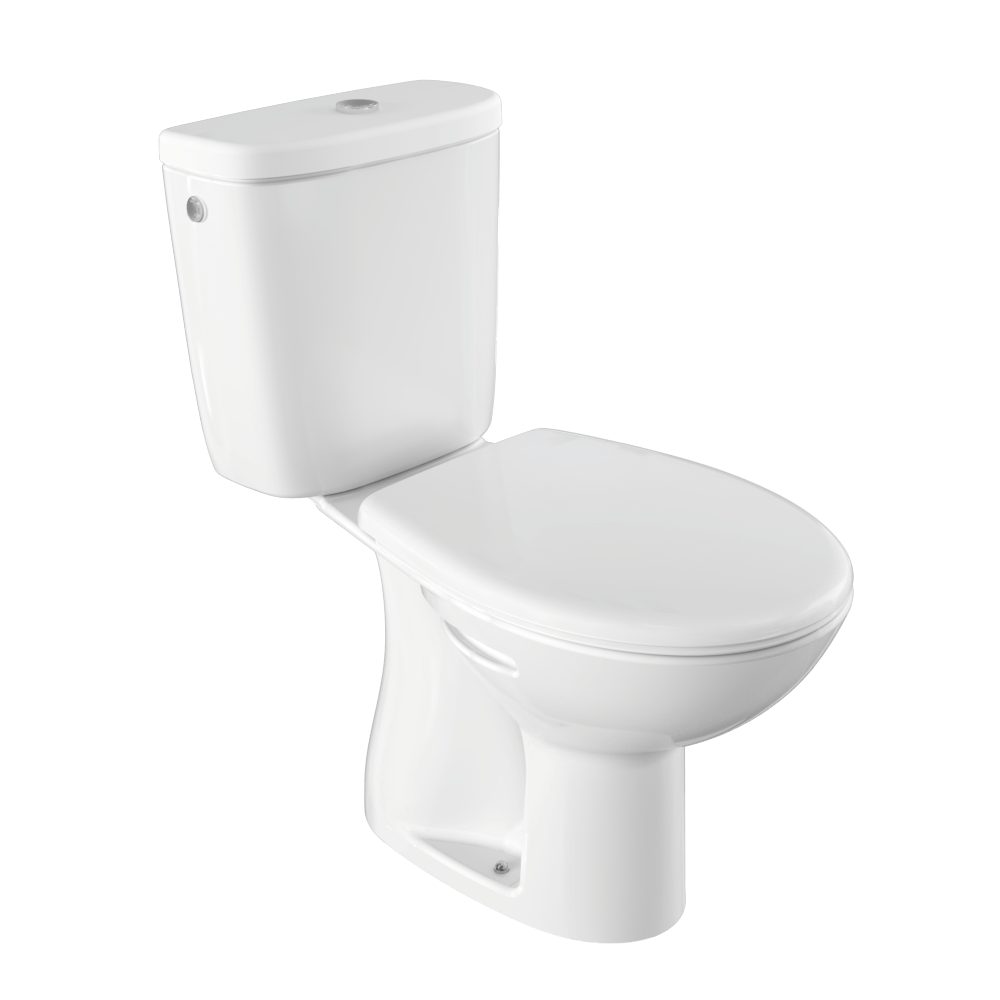 Toilet and Bidet 1