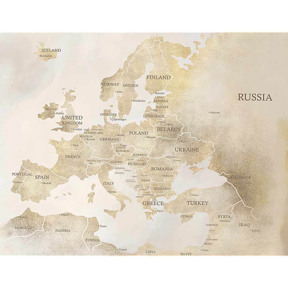 Պատի ծածկույթներ 4