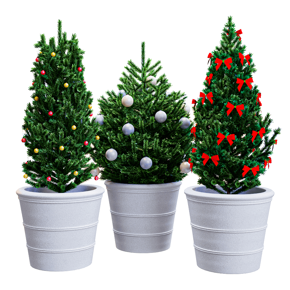 christmas-tree-in-a-pot-download-the-3d-model-26891-zeelproject