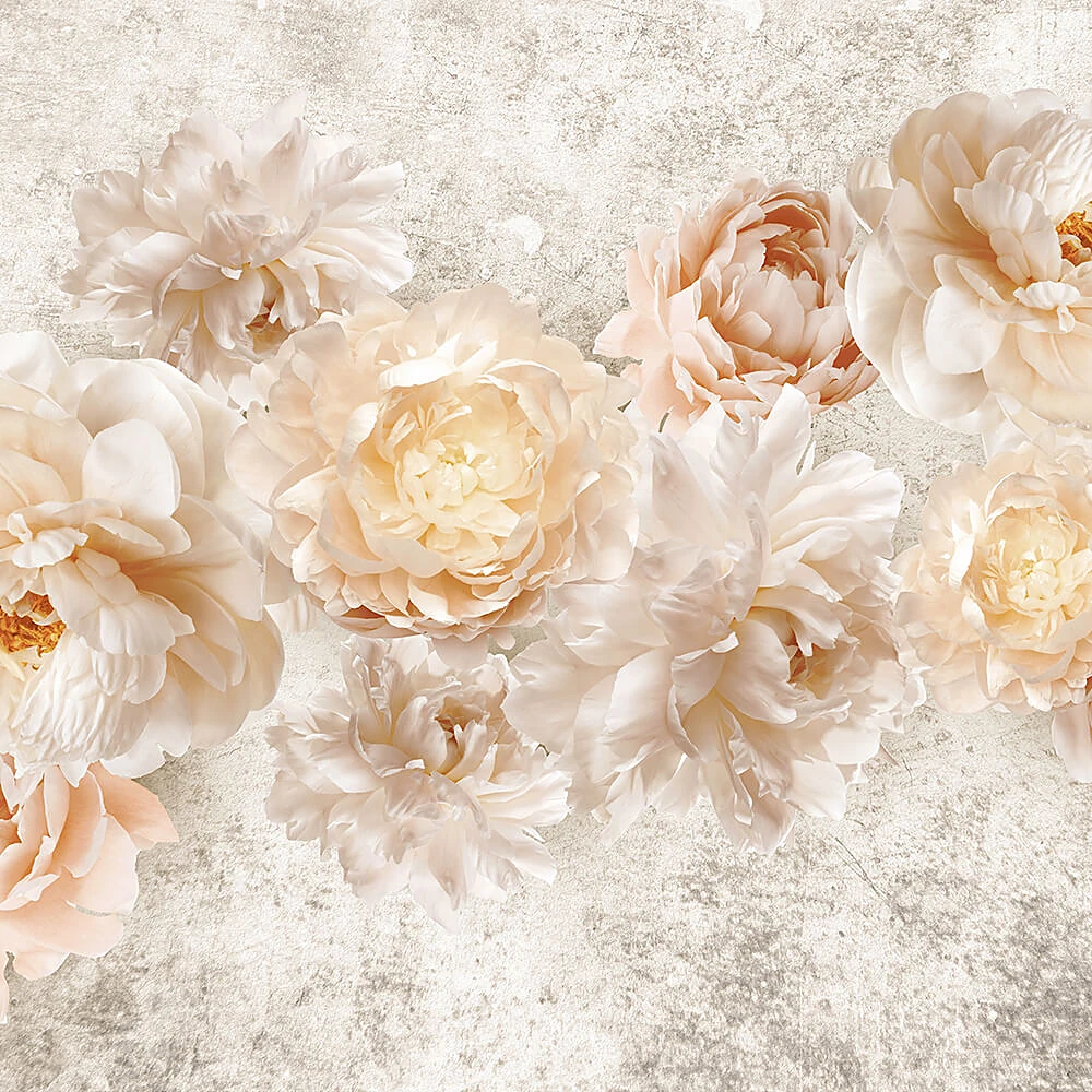 Պատի ծածկույթներ 1