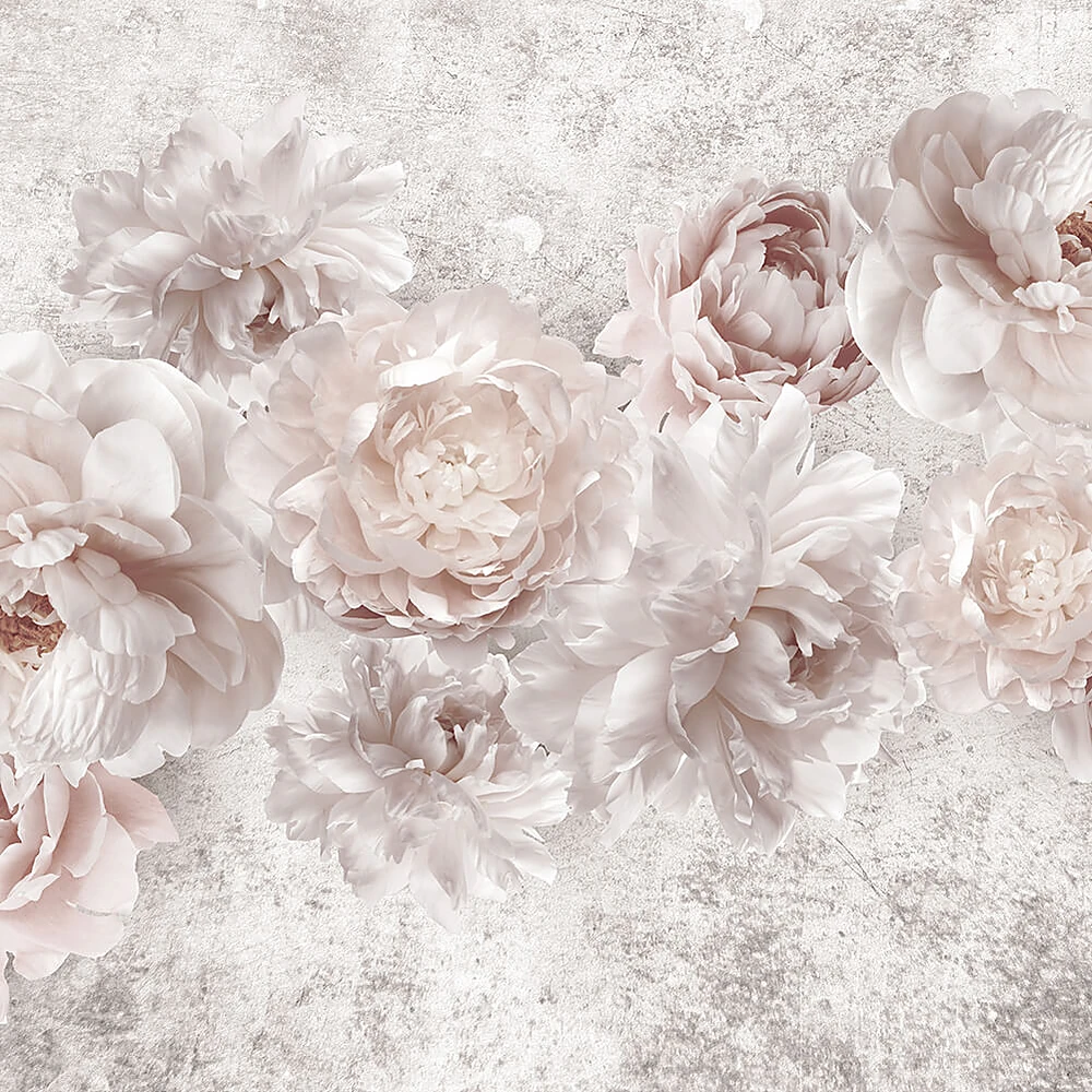 Պատի ծածկույթներ 2