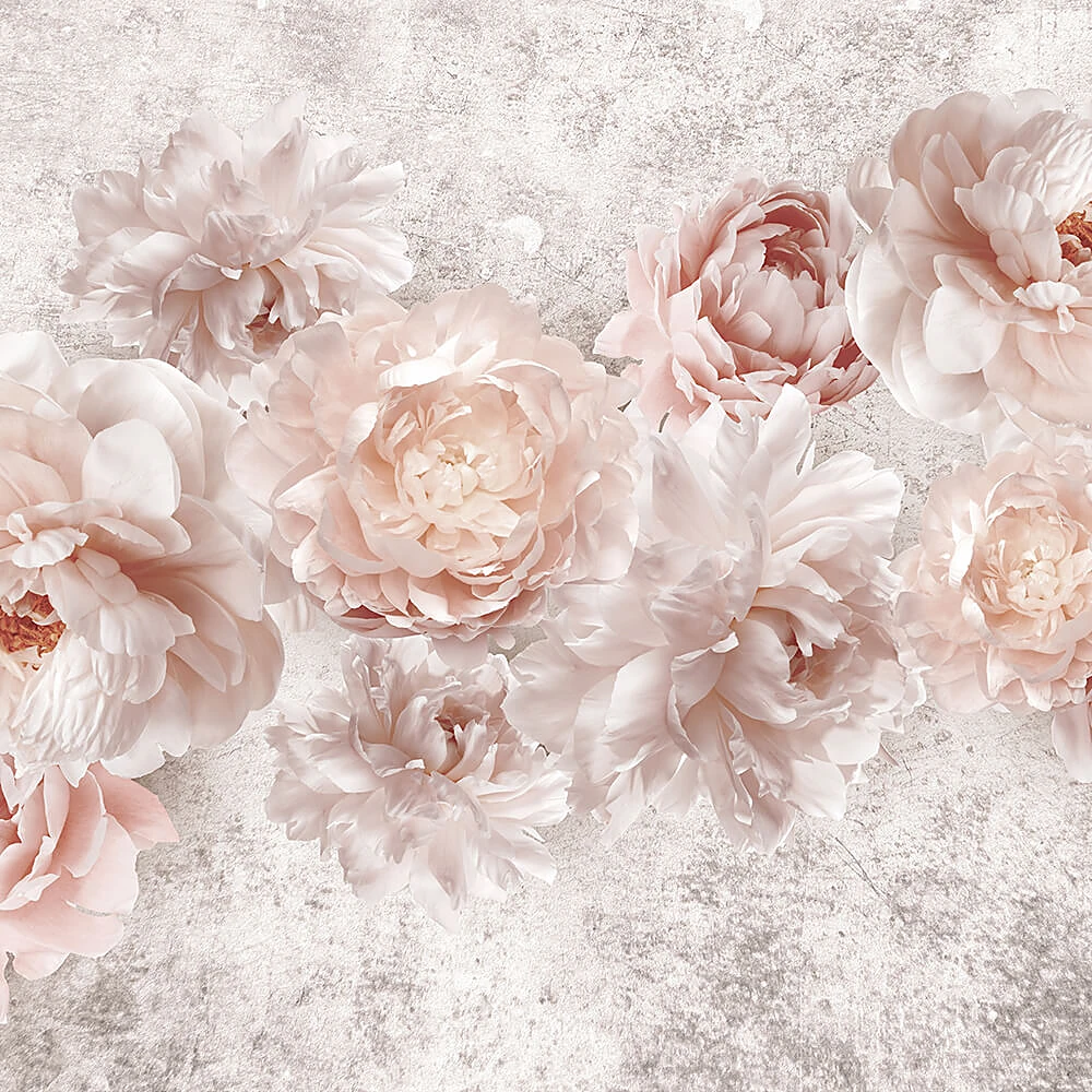 Պատի ծածկույթներ 3