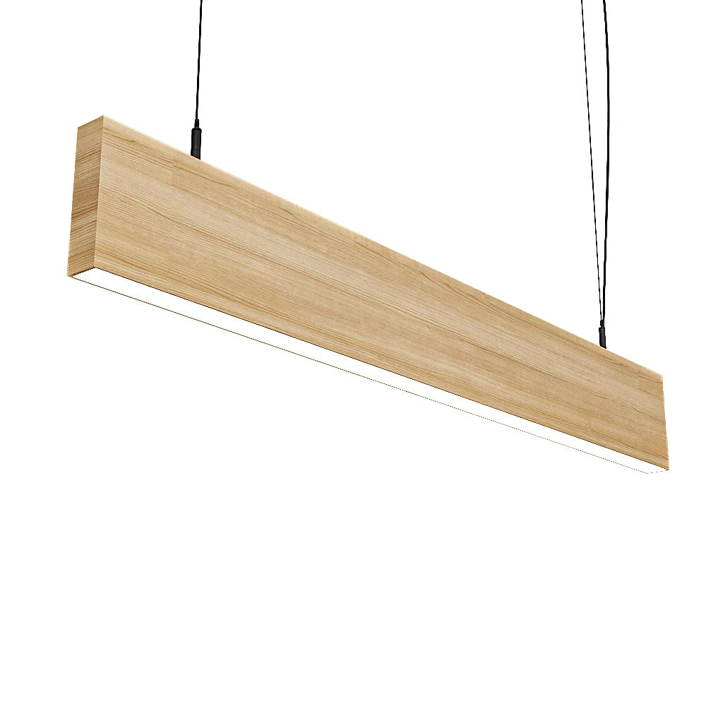 Ceiling lamp 1