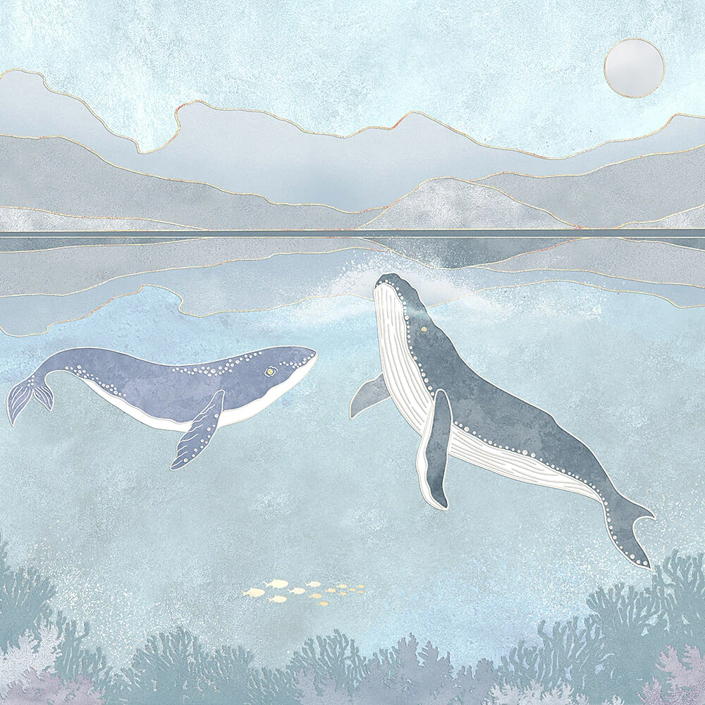 Պատի ծածկույթներ 1