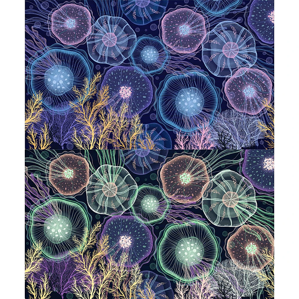 Պատի ծածկույթներ 2