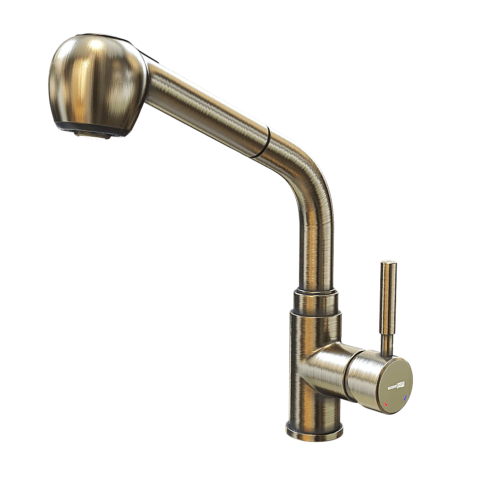 Grifo de la cocina 1