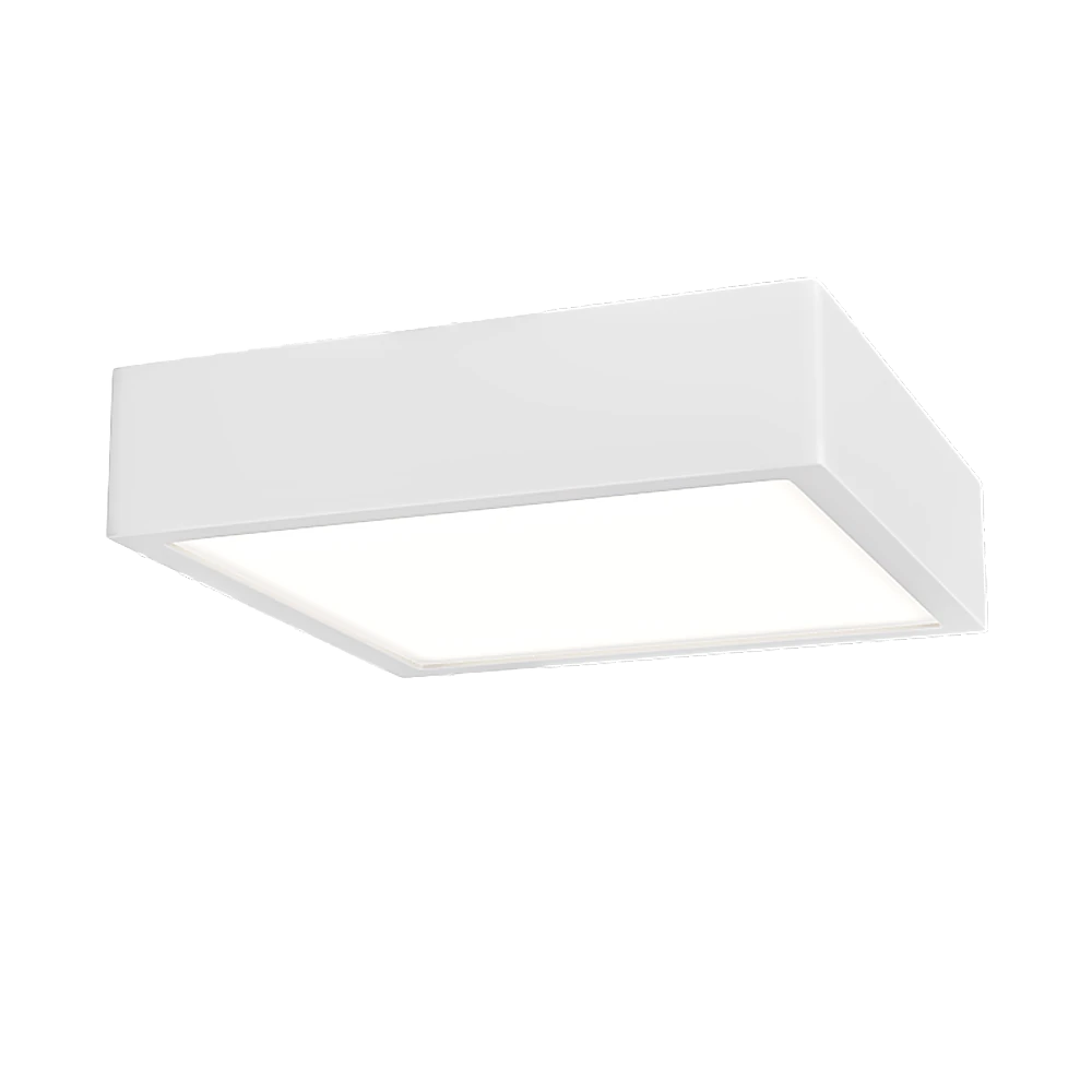Ceiling lamp 1