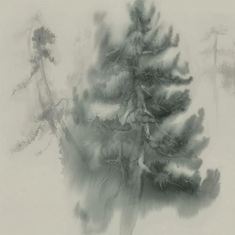 Rivestimento murale 1