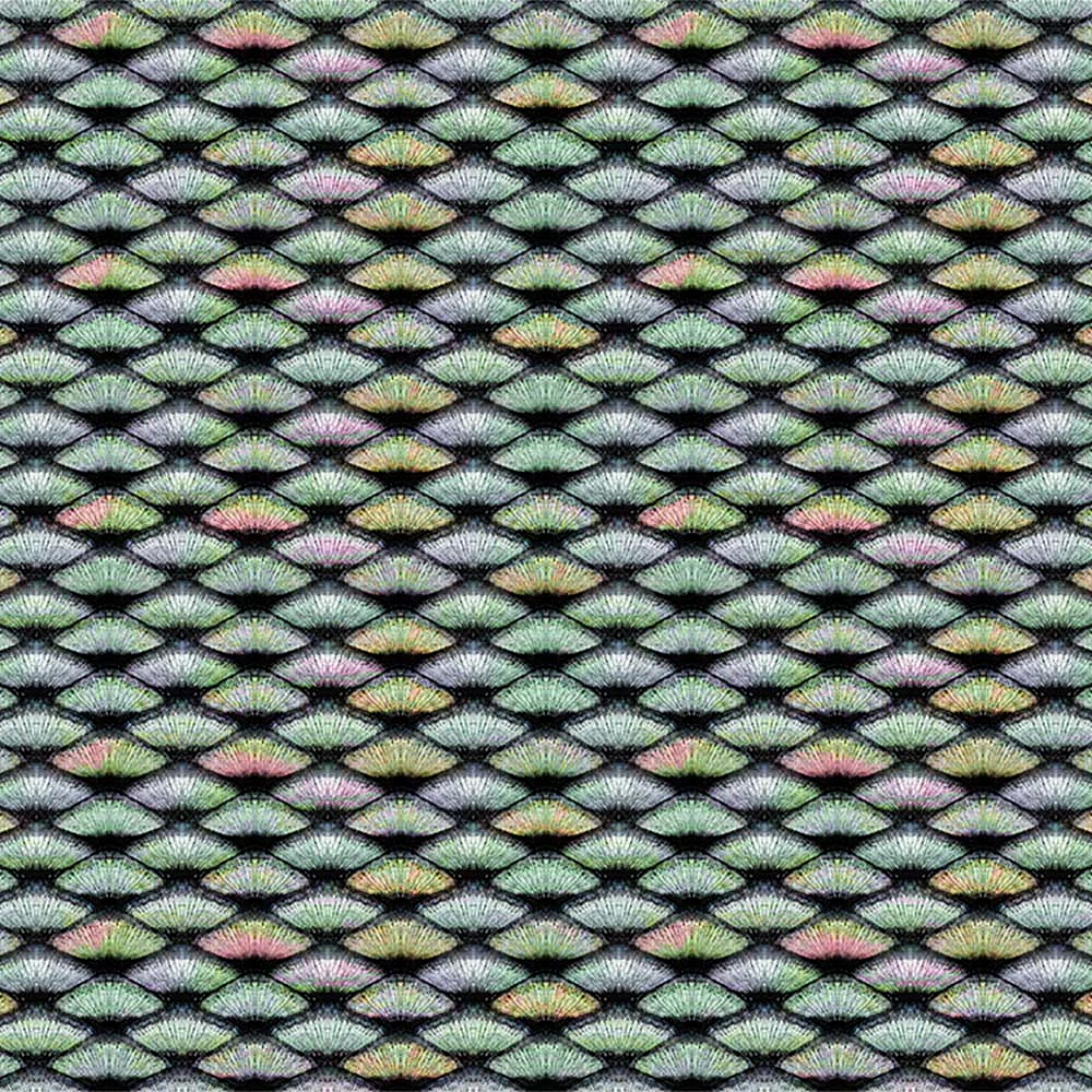 Rivestimento murale 1